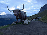 Hölzernes Hochlandrind