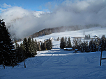 Rückblick zur Alm während des Aufstiegs zum Sattelberg