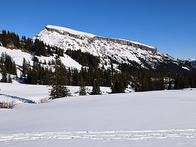 Der Hohe Ifen prägt das Panorama in der Nähe der Hütte