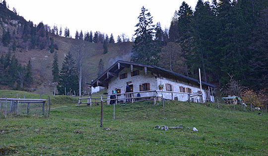 Staudacher Alm (1150 m)