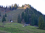 Das Almgelände der Staudacher Alm