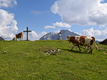 Das Gipfelkreuz der Alm vor der Hohen Munde