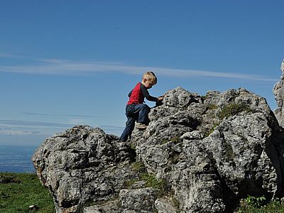 haben an den zahlreichen...