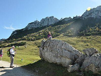 Kletterfelsen rund um die Alm...