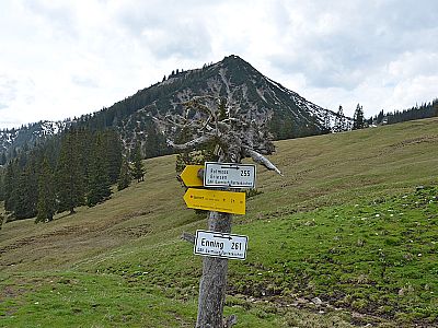 Schilderbaum unterhalb der Hütte
