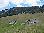 Kurz vor der Stepbergalm