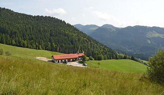 Stoanaalm (1055 m)