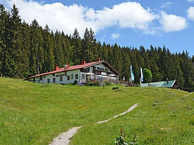 ...hat beinahe das ganze Jahr über Saison