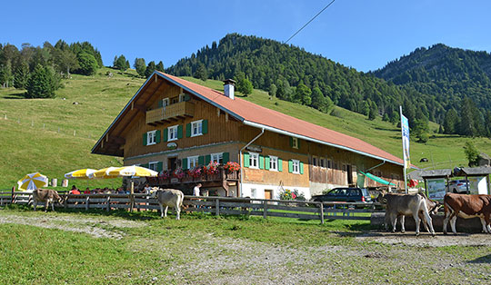 Unterlauchalpe (996 m)