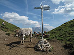 Sommerbergjöchle in den Lechtaler Alpen