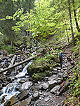 ...und leitet uns am rauschenden Steinebach weiter aufwärts
