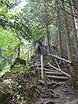 ...und folgen einem bewaldeten Rücken über ünzählige Stufen hinauf...