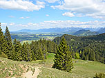 Blick auf den Forggensee und auf Füssen