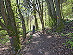 Wir folgen dem kleinen Pfad durch Wald...