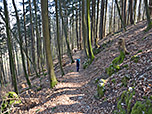 ...und erreichen über einen Waldweg...