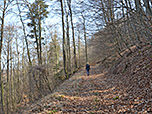 ...und folgen später einem Waldweg steiler bergauf