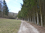 Wir streifen ein Waldstück...