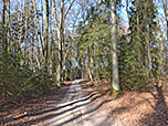 Dort treffen wir auf einen Querweg