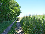 Wir folgen einem Feldweg...