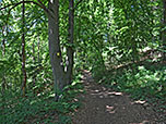 ...und durch schattigen Wald