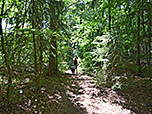 Wir erreichen wieder schattigen Wald...