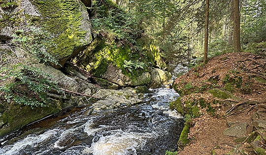 Steinklamm - Rundweg Steinforelle