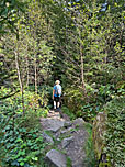 ...durch den lichten Wald