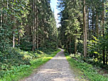 Wir folgen dem Forstweg nach Süden