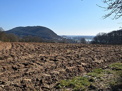 Der Blick über die Felder auf den Scheuchenberg und zur Donau 