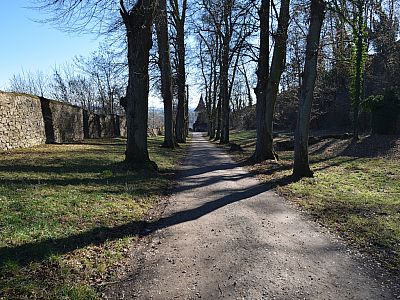 Durch die Allee verlassen wir die Burgruine ...