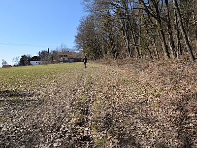 ... am Waldrand ein Weg auf ein paar Häuser zu.