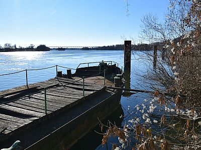 Der Blick vom Nordufer auf die  Donau