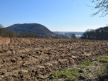 Der Blick über die Felder auf den Scheuchenberg und zur Donau 