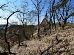 ... weiter zur Salvatorkirche.