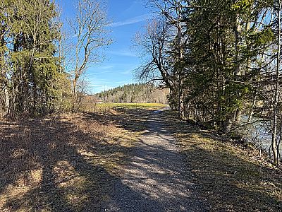 Nach einem kurzen Waldstück...