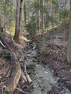 Nach dem Bachgraben...