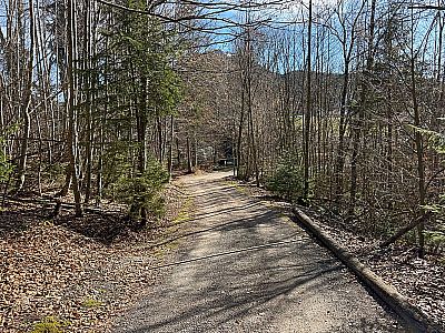 ...und erreichen einen Fahrweg