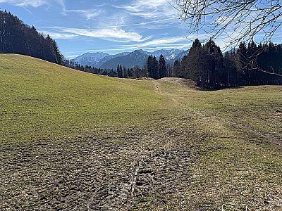 Nach dem Bucherhof...