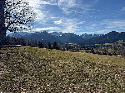 ...zur Aussichtslinde