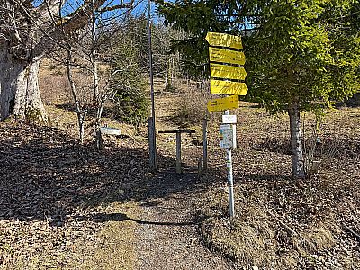 ...lassen wir den Abzweig zum Breitenstein links liegen...