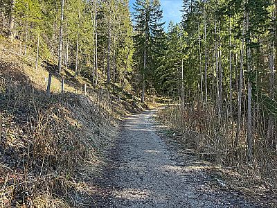 ...und gehen weiter geradeaus