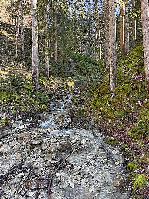 Im Wald kommen wir an einem Bachgraben vorbei