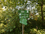 Wir folgen dem Wegweiser zum Felsenweg