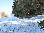 Am Waldrand wenden wir uns nach rechts...