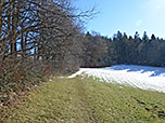 Der Pfad leitet uns über eine Wiese...