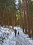 ...und nochmals durch den Wald...