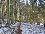 Ein Waldpfad...
