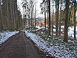 ...und ein Forstweg leiten uns hinunter nach Miesbach