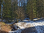 Wir durchstreifen ein Waldstück