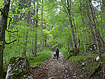 Steil führt uns der kleine Waldweg bergauf